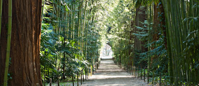 bambouseraie Anduze Mialet